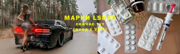 стафф Аркадак