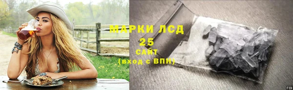 стафф Аркадак