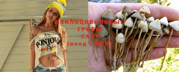 трава Новокубанск
